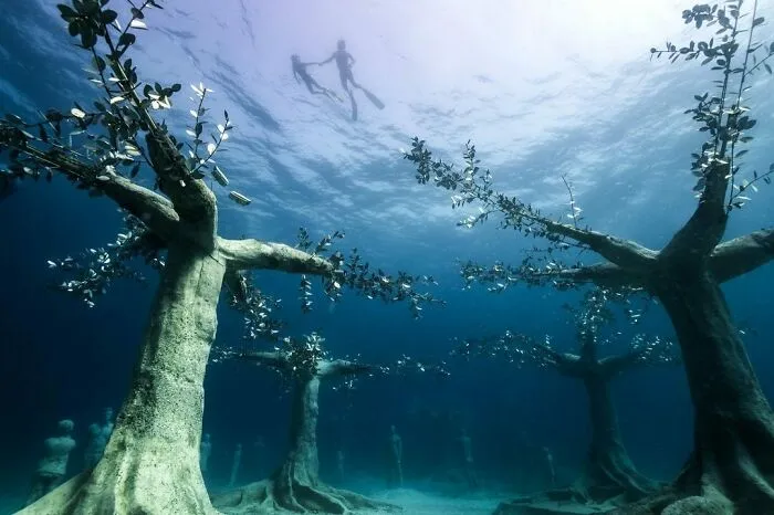 Underwater Forest