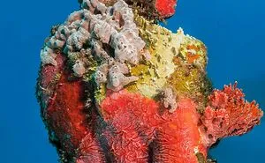 40 Underwater Sculptures That Turn The Ocean Floor Into An Art Gallery While Helping Marine Life Thrive