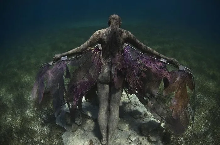 Reclamation, Musa, Mexico