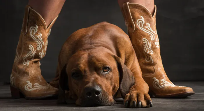 This Photographer Took 58 Powerful Portraits Of The Human And Animal Bond