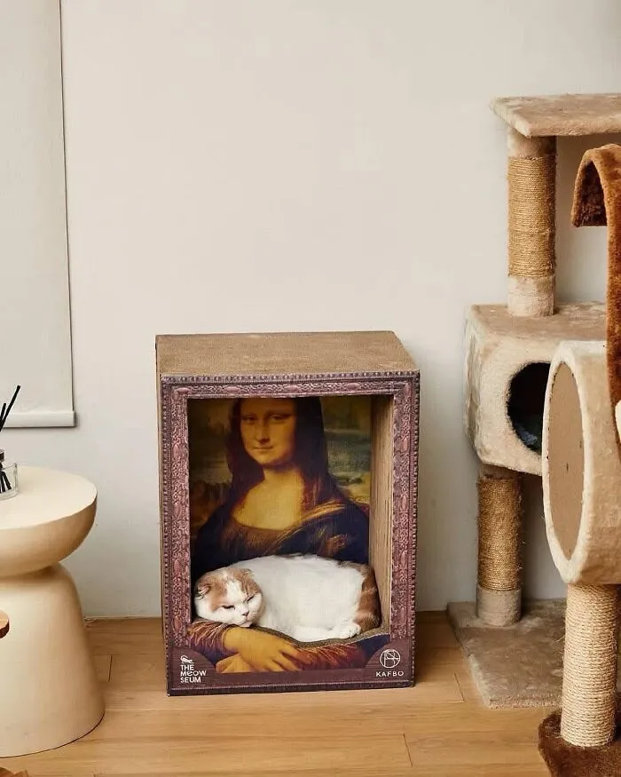 65 Hilarious Photos And Memes From This Page That Prove Life Is Better With Cats