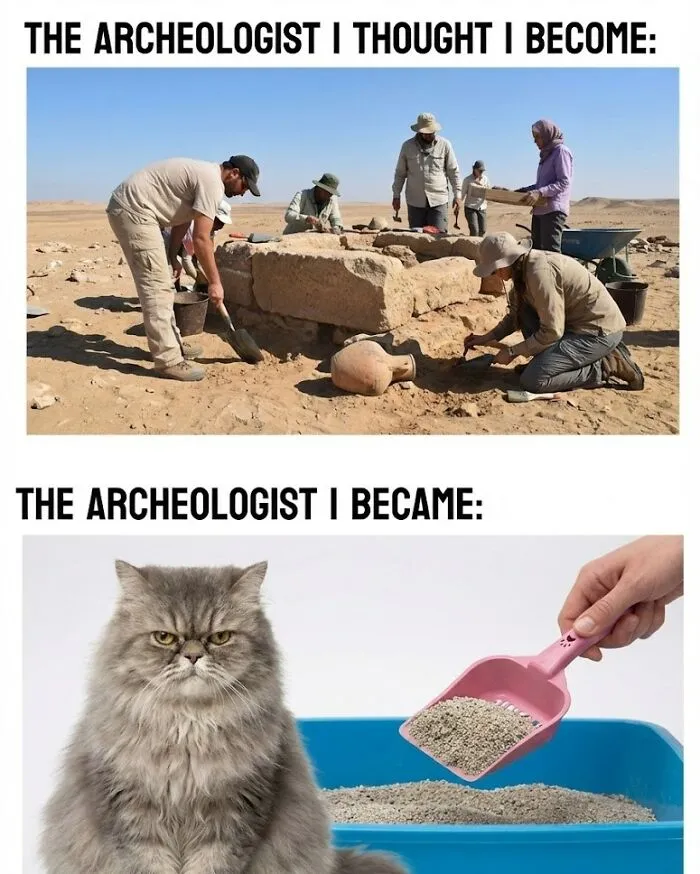 65 Hilarious Photos And Memes From This Page That Prove Life Is Better With Cats