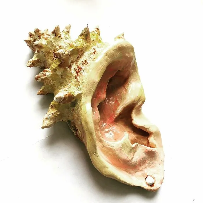 Conch With Earring