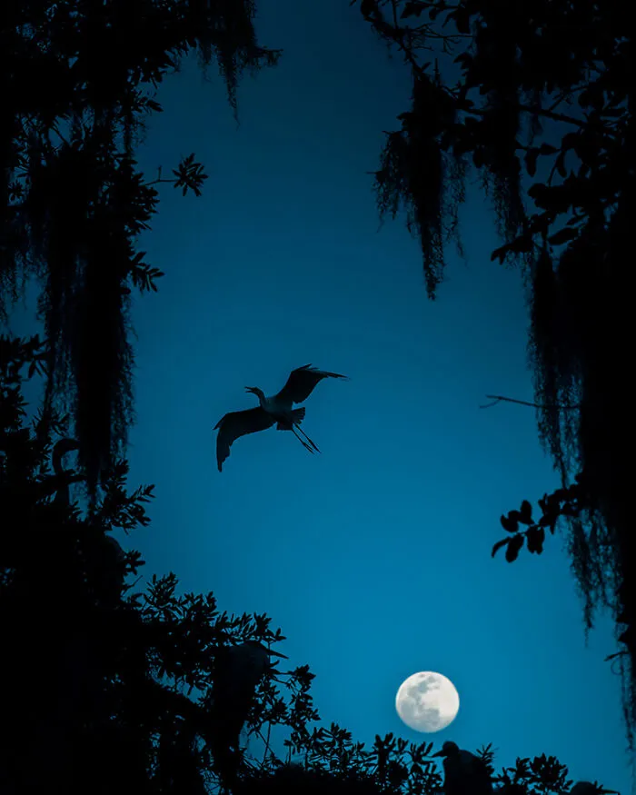 When The Moon Rises