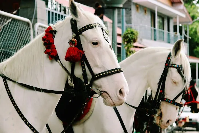 75 Times Weddings Went So Very Wrong, People Just Had To Vent Online