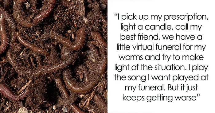  Woman Finds Tapeworm Eggs Throughout Her Home, What Follows Is Even More Horrifying