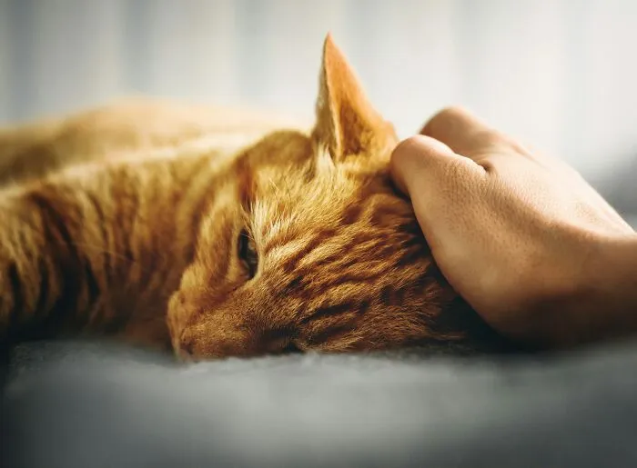 “I Still Can’t Explain It To This Day”: 73 Stories That Prove Trusting Your Gut Feeling Is Never Stupid