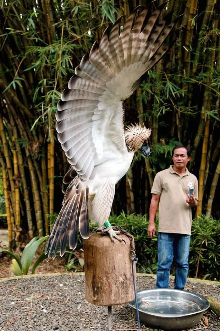 Filipinas