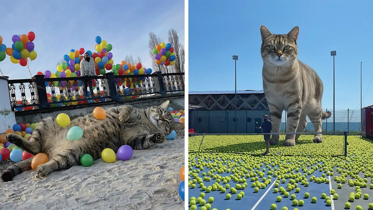 This Artist’s Giant Cat Photoshop Series Returns With 26 New Pics