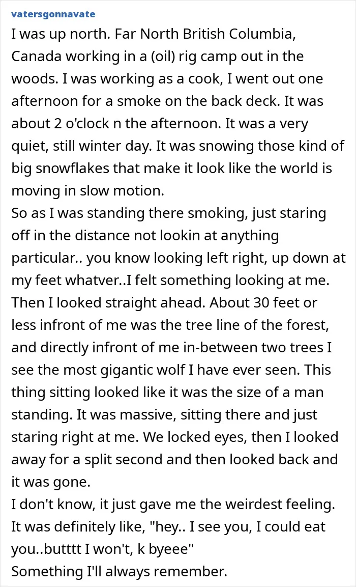“So Many Eyes”: 55 Stories From The Middle Of Nowhere That Will Probably Make Your Skin Crawl