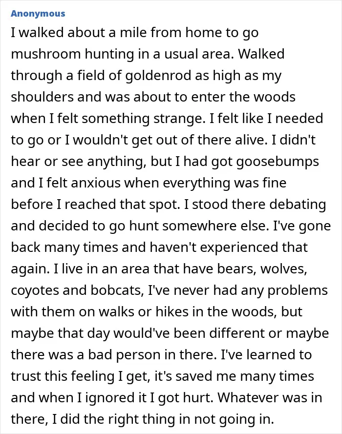 “So Many Eyes”: 55 Stories From The Middle Of Nowhere That Will Probably Make Your Skin Crawl