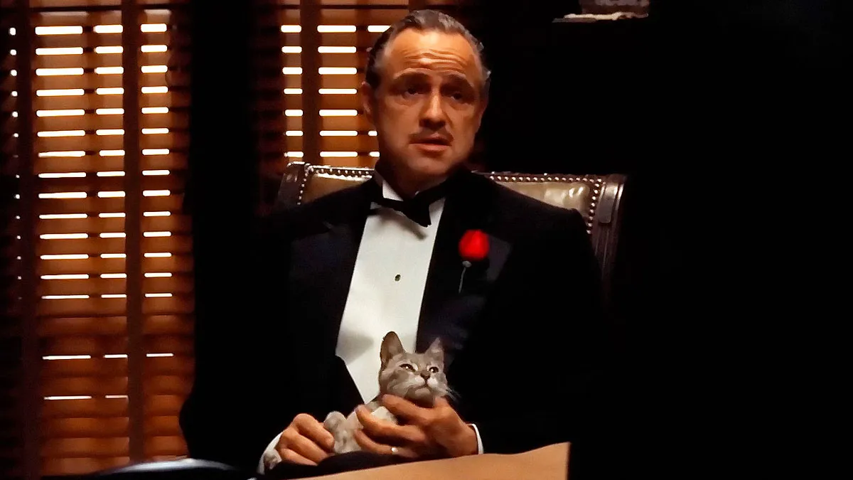 83 Unexpected Cat Cameos In Movies You Probably Missed The First Time 