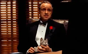 83 Unexpected Cat Cameos In Movies You Probably Missed The First Time