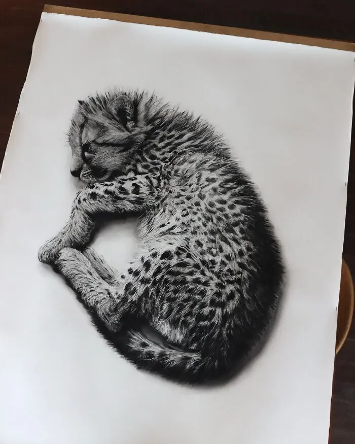 Baby Paws, Cheetah