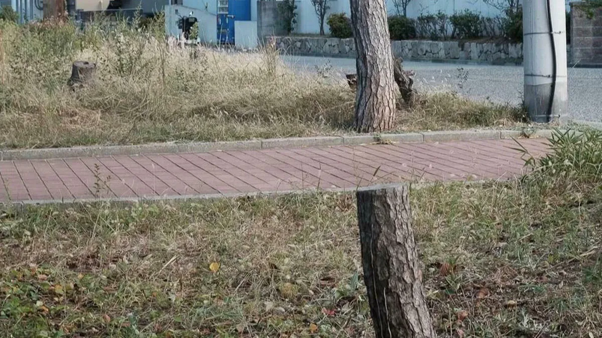 These 115 Photos Show How Much Perspective Can Change What You See (New Pics)