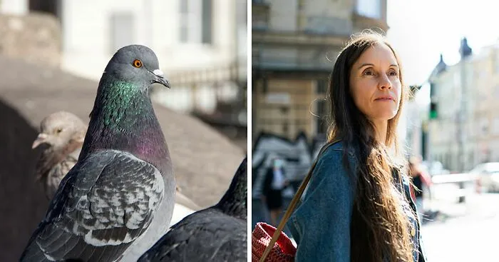 Birds Are Sexist According To Bizarre New Study — And The Gender They Prefer Has Stumped Scientists