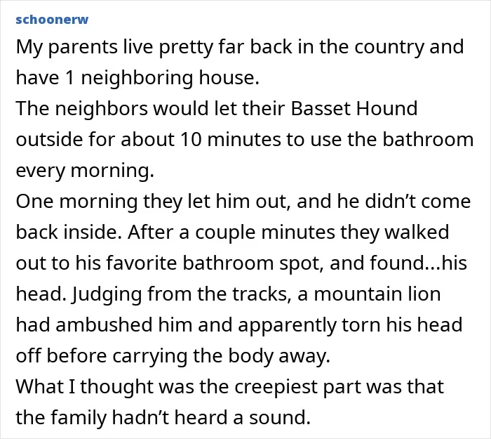 “So Many Eyes”: 55 Stories From The Middle Of Nowhere That Will Probably Make Your Skin Crawl