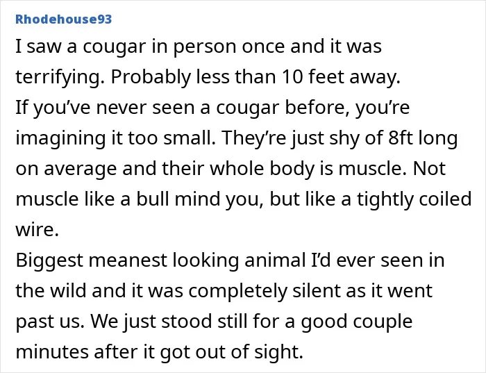 “So Many Eyes”: 55 Stories From The Middle Of Nowhere That Will Probably Make Your Skin Crawl