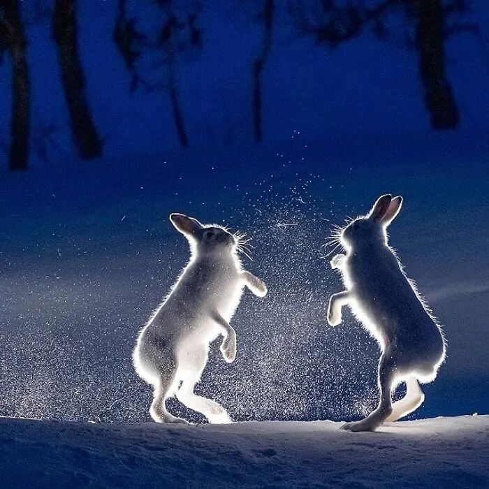 This Page Shares The Most Fascinating Photos, And Here Are The 33 Newest Ones