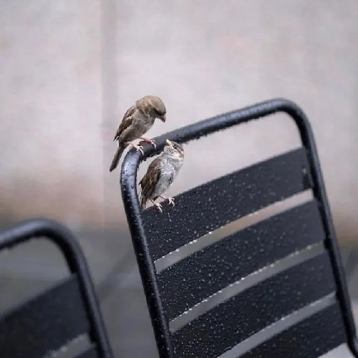This Page Shares The Most Fascinating Photos, And Here Are The 33 Newest Ones