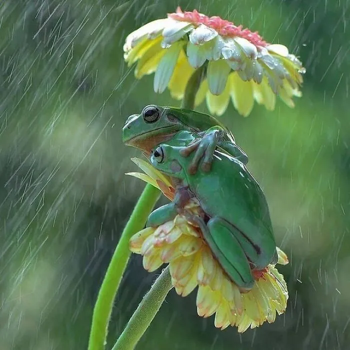 This Page Shares The Most Fascinating Photos, And Here Are The 33 Newest Ones