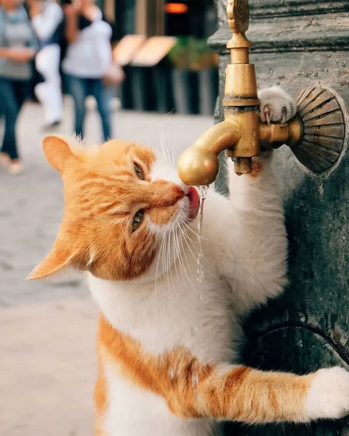 This Page Shares The Most Fascinating Photos, And Here Are The 33 Newest Ones