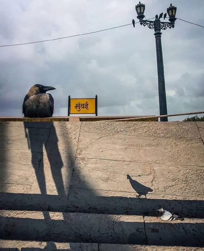 This Page Shares The Most Fascinating Photos, And Here Are The 33 Newest Ones