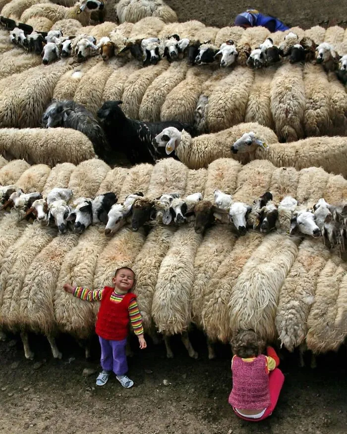 This Page Shares The Most Fascinating Photos, And Here Are The 33 Newest Ones