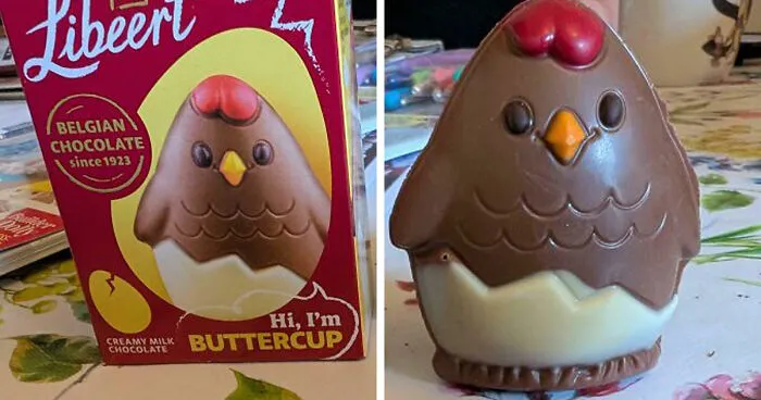 22 Momentos de «Expectativas VS Realidad» en que los resultados superaron cualquier expectativa