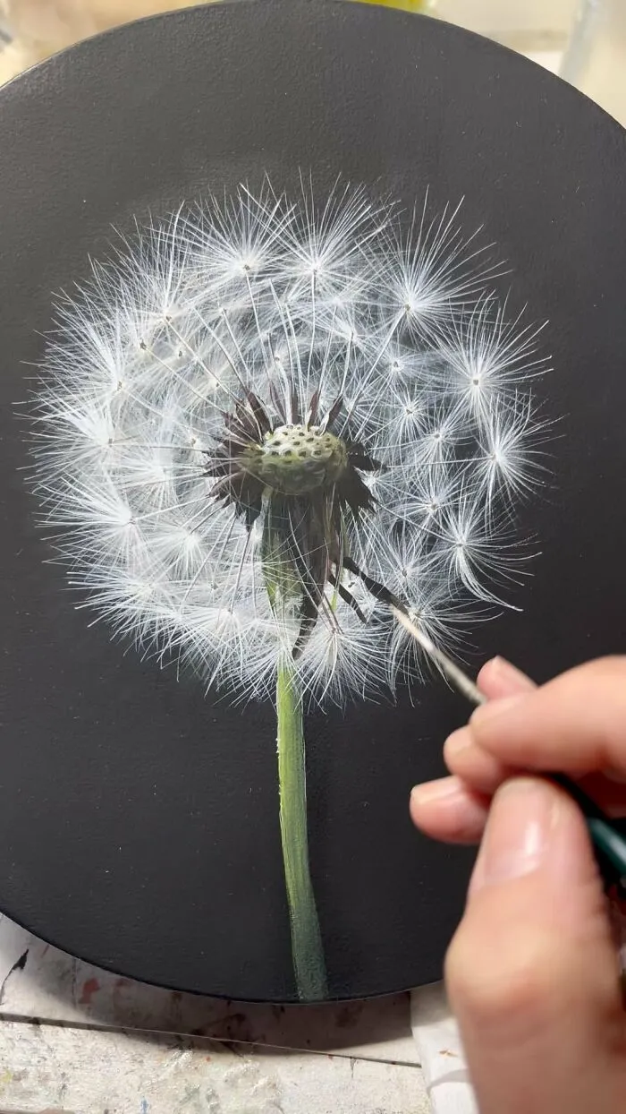 Make A Wish