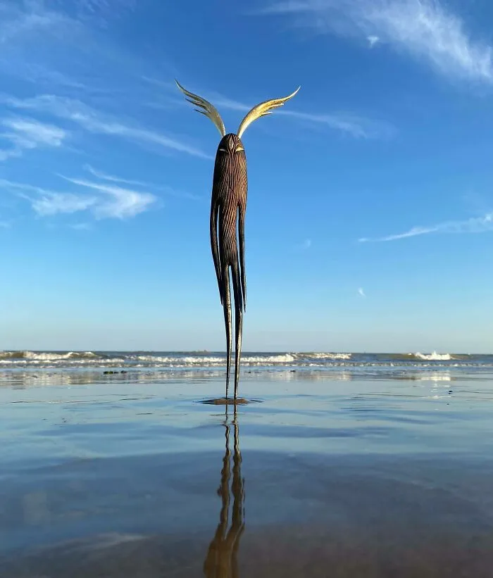 60 Extraordinary Wood Sculptures Inspired By Nature And Myth, By Tach Pollard
