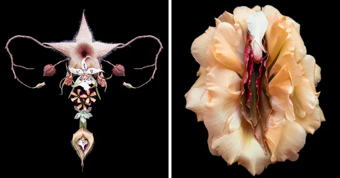 This Brazilian Artist Uses Flowers To Reveal The Intensity Behind Being A Woman (37 Pics)