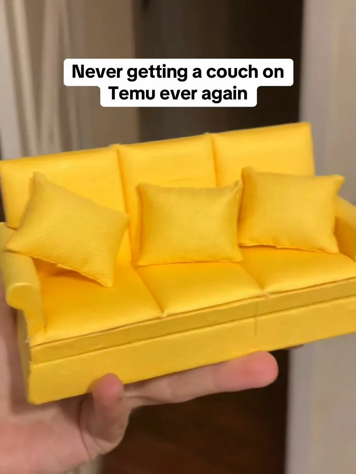 49 Times People Got Ridiculous Things From Temu And Couldn’t Be Mad Because They Did It To Themselves