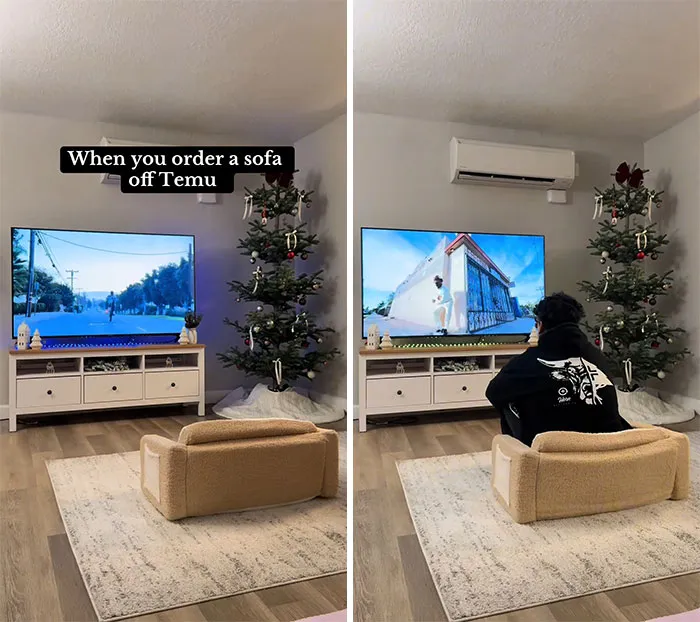 49 Times People Got Ridiculous Things From Temu And Couldn’t Be Mad Because They Did It To Themselves