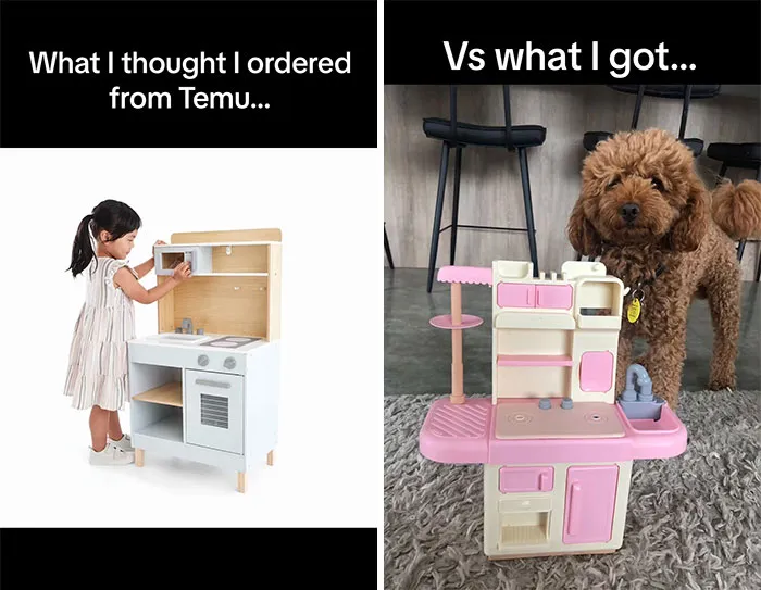 49 Times People Got Ridiculous Things From Temu And Couldn’t Be Mad Because They Did It To Themselves