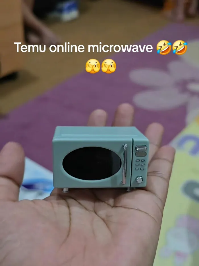 49 Times People Got Ridiculous Things From Temu And Couldn’t Be Mad Because They Did It To Themselves