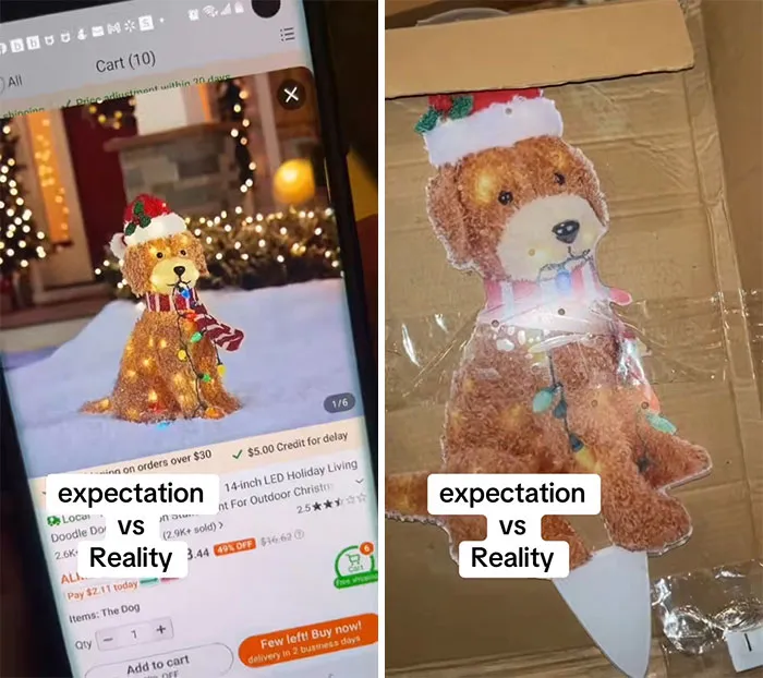 49 Times People Got Ridiculous Things From Temu And Couldn’t Be Mad Because They Did It To Themselves
