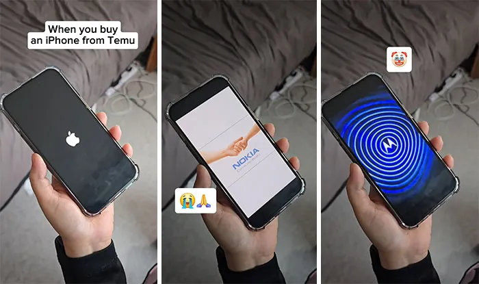 49 Times People Got Ridiculous Things From Temu And Couldn’t Be Mad Because They Did It To Themselves