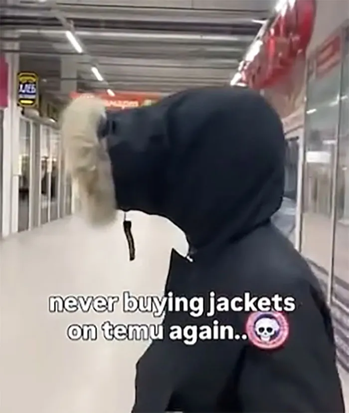 49 Times People Got Ridiculous Things From Temu And Couldn’t Be Mad Because They Did It To Themselves