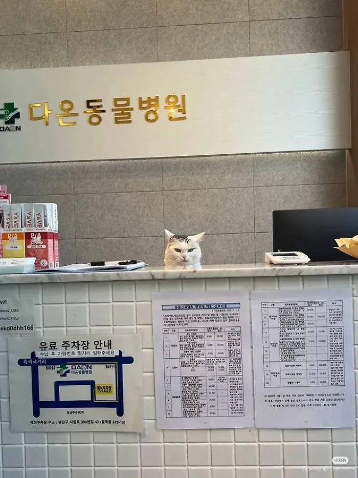 I Need To Submit It, But The Employee's Expression Looks So Pissed Off That We've Been In A Staring Contest For 30 Minutes