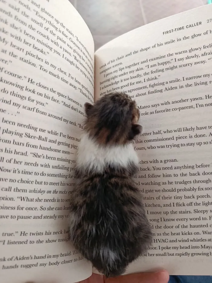 My New Bookmark