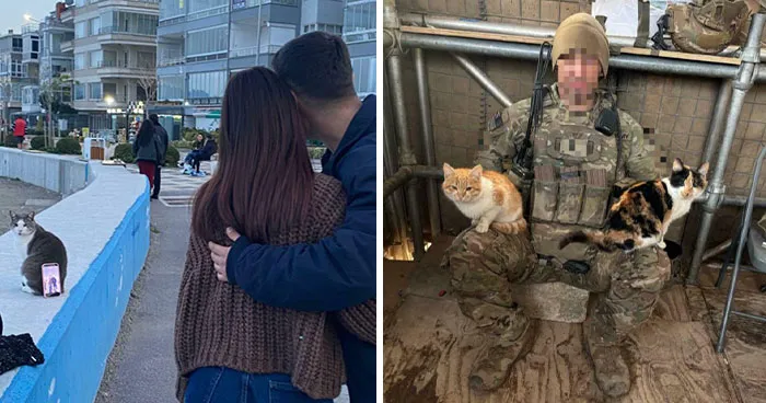 “Cleared A Four-Year Mouse Problem In Three Days”: 83 Funny Cats With Jobs They Take Very Seriously (New Pics)