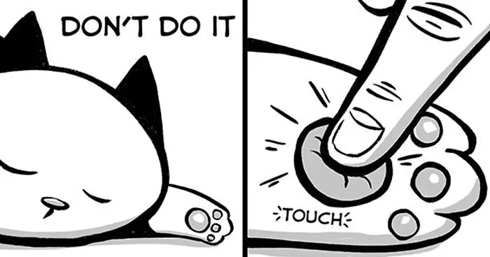 21 Funny Comics About The Reality Of Living With A Cat