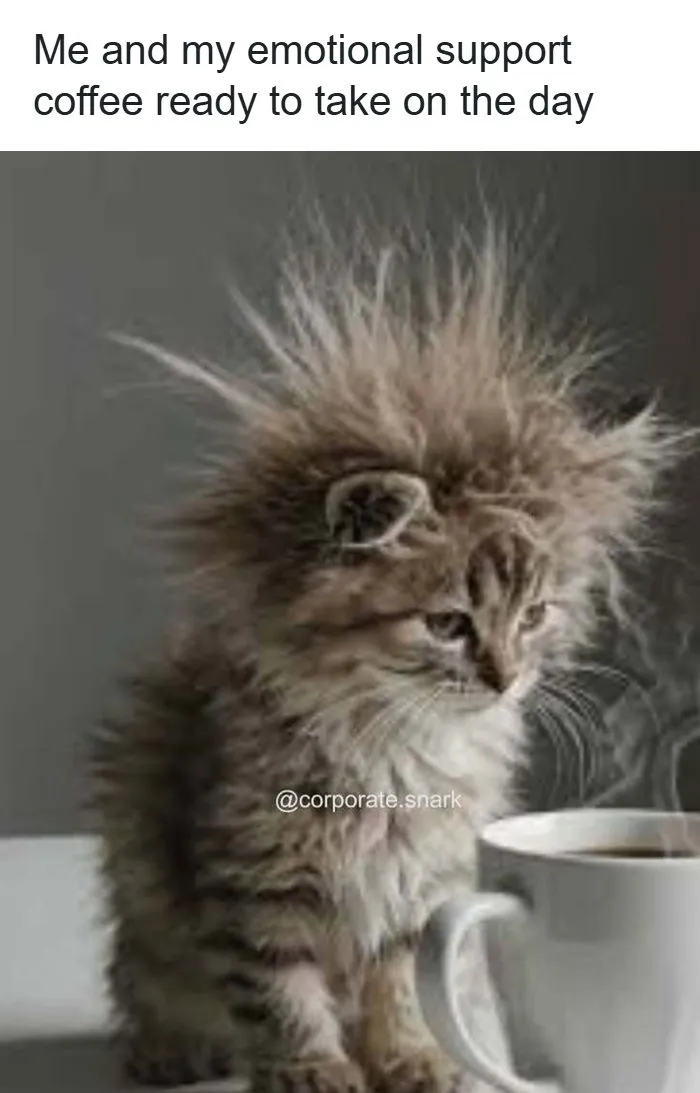 “On My Way To Work To Do Just Enough To Not Get Fired”: 53 Funny Work Memes