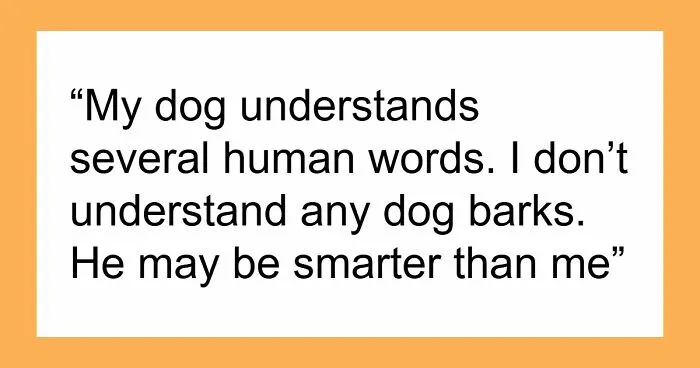 61 Hilarious Memes Featuring Cute, Funny And Mischevious Dogs