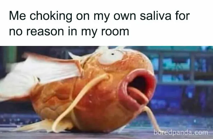 51 Hilarious Memes That Are Here For You When Your Friends Aren’t