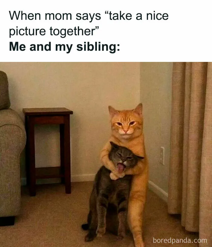 51 Hilarious Memes That Are Here For You When Your Friends Aren’t