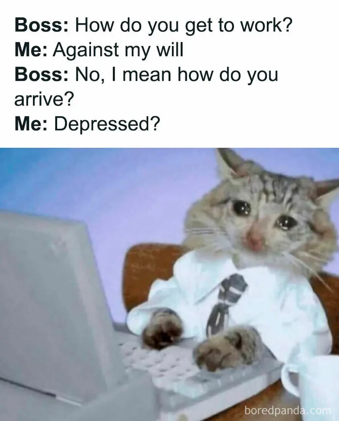 51 Hilarious Memes That Are Here For You When Your Friends Aren’t