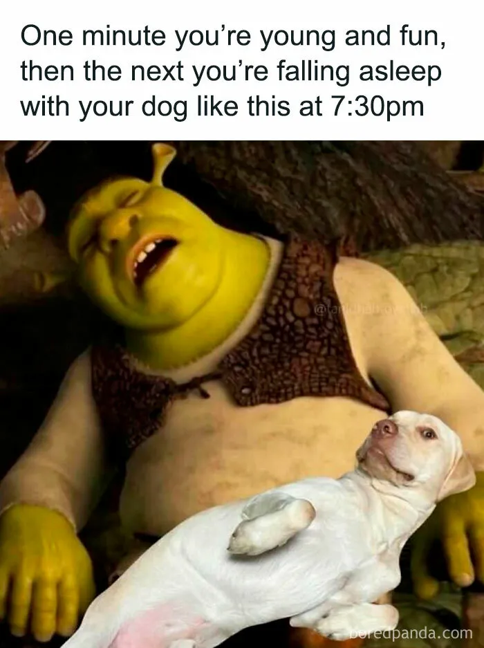51 Hilarious Memes That Are Here For You When Your Friends Aren’t