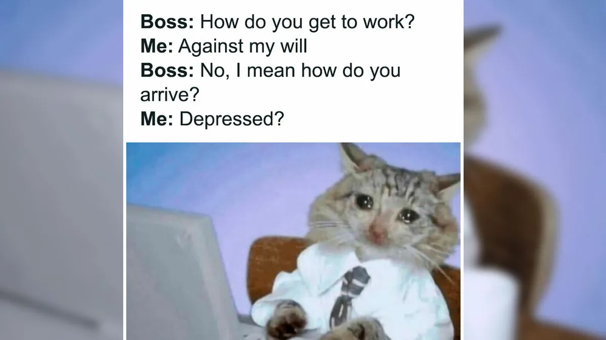 51 Hilarious Memes That Are Here For You When Your Friends Aren’t